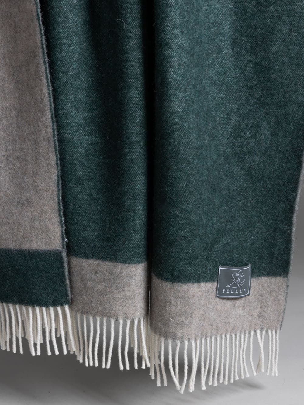 teorema-plaid-bosco2.jpg