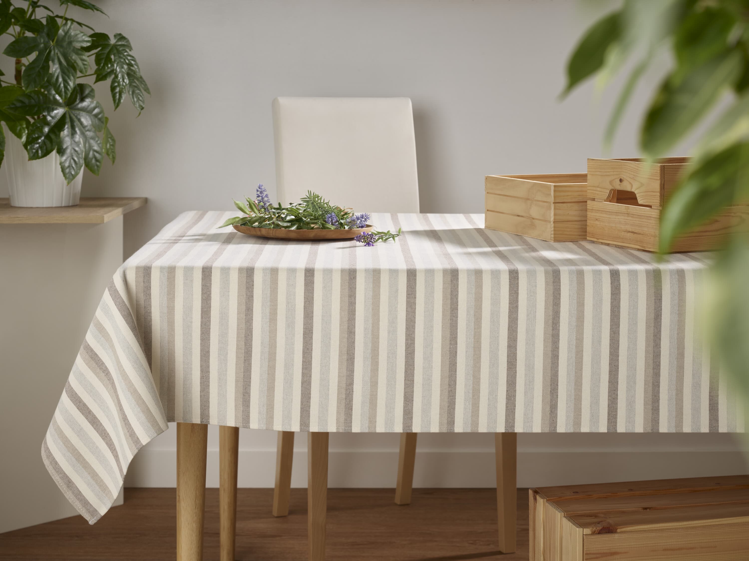 8268-MIREA-TOPO-AMBIENTE-HORIZONTAL.jpg