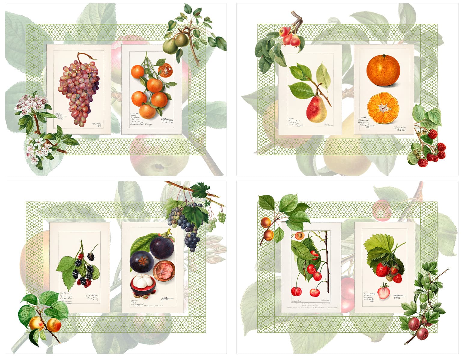 Summer-Fruit_PM_4pcs-1.jpg