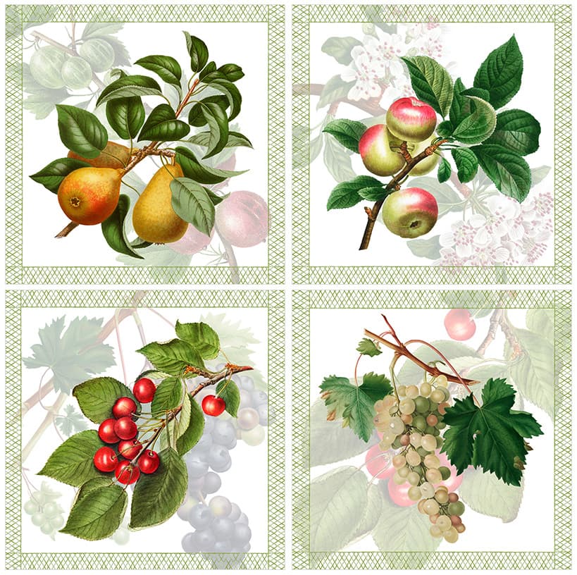 Summer-Fruit_NPK_4pcs-1.jpg