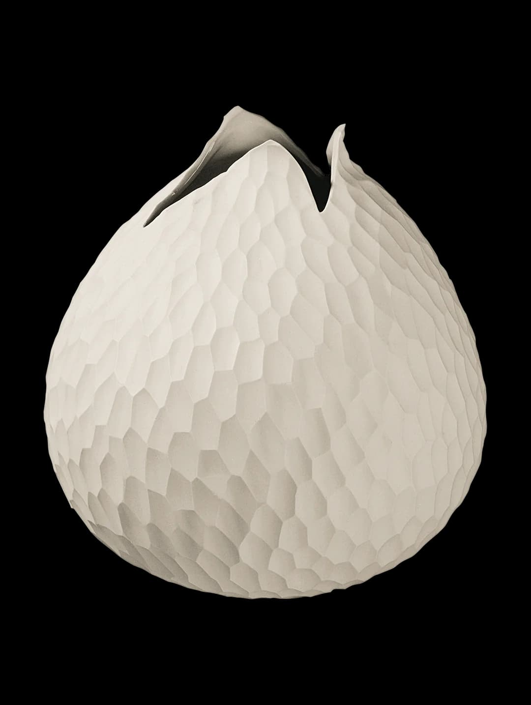 1361011-Carve_1080x.png.webp