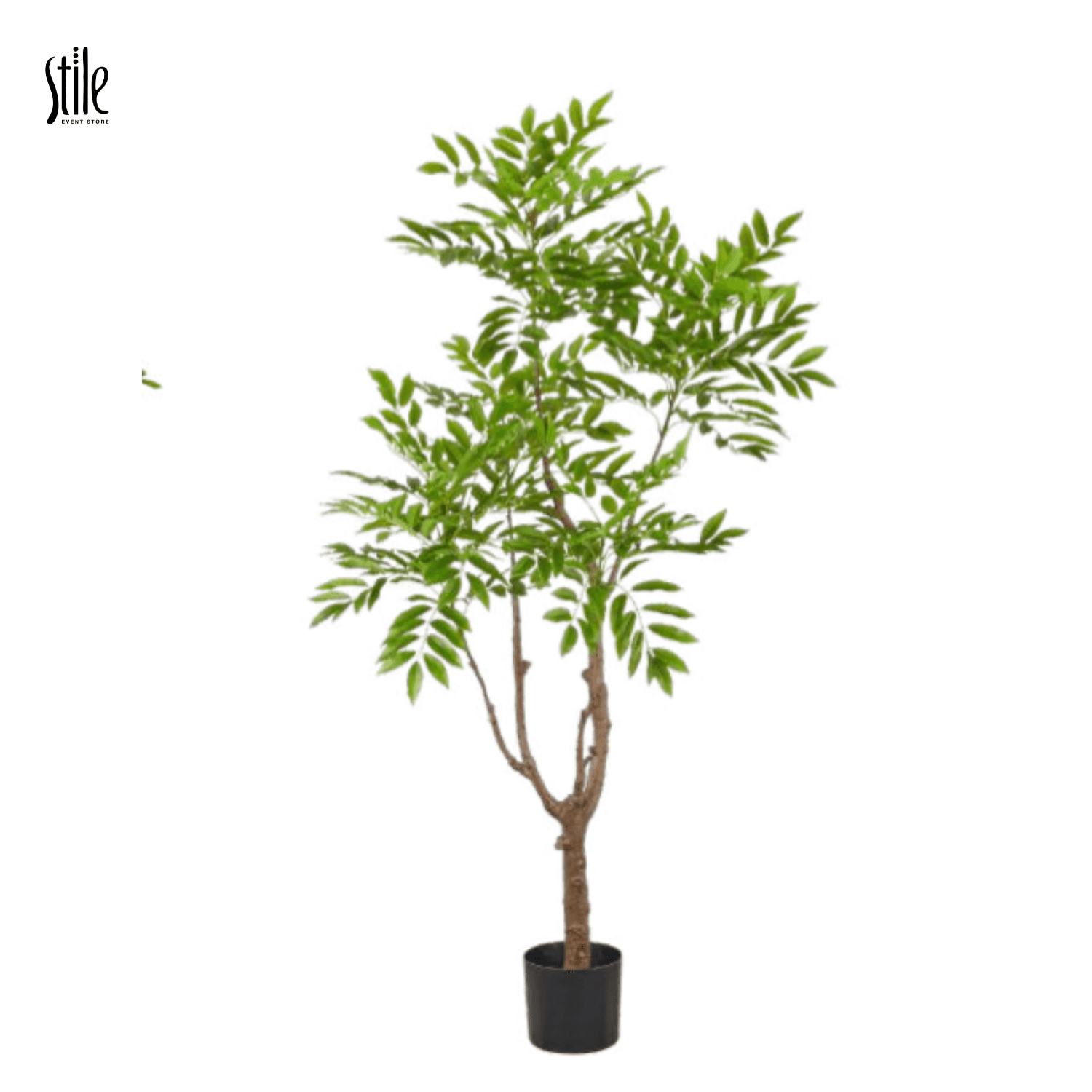 media-library48l9B4