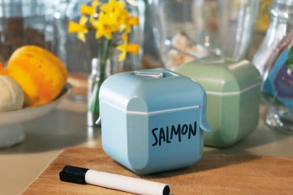jarsty-salmon-600x400-1.jpg
