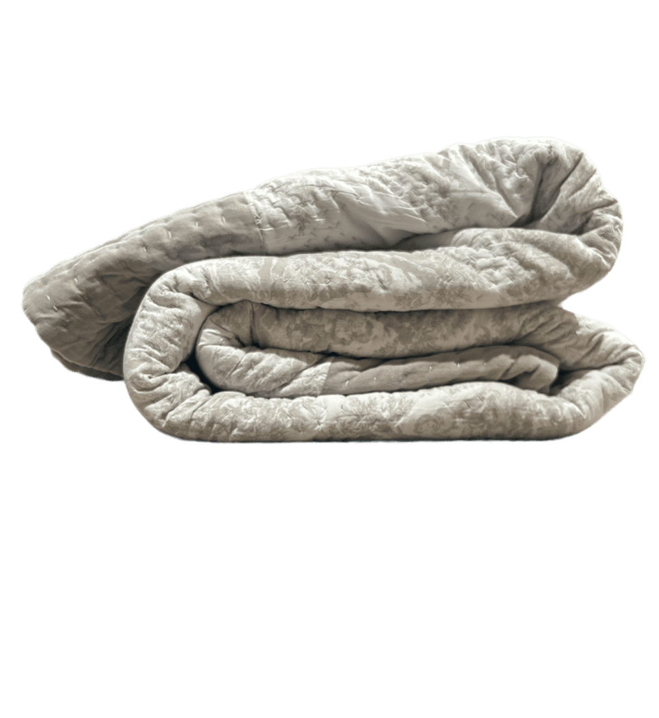 image1-e1691686811175.png