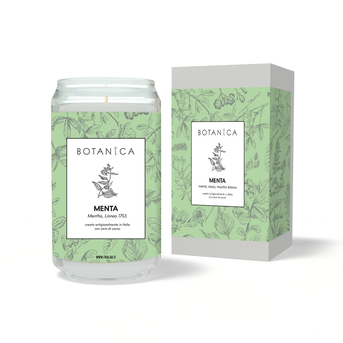 menta_scatola.jpg