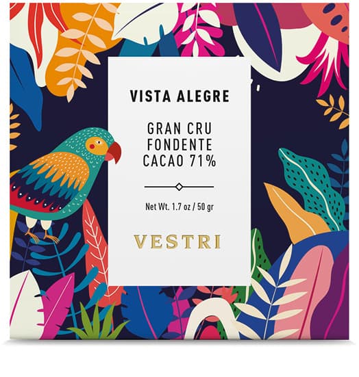 VISTA-VistaAlegre.jpg