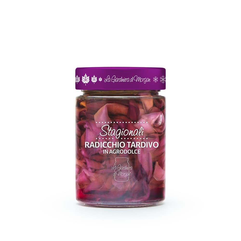 RADICCHIO-TARDIVO-MORGAN.jpg