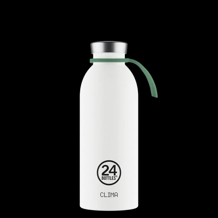 697__light_green__2_720x.png.webp