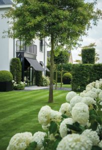 Garden Business Stile 02