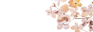 banner i nostri settori-Stile