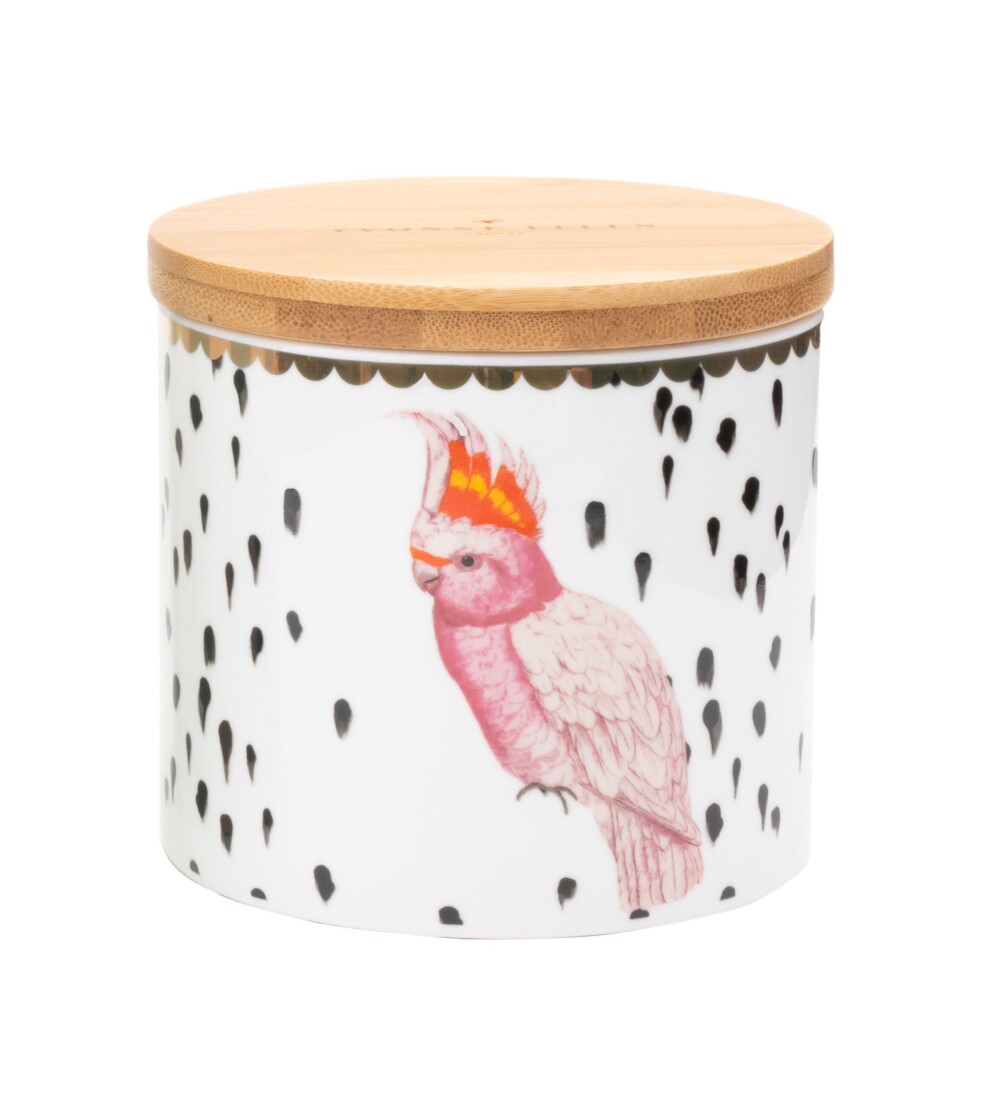 YVONNE ELLEN - JAR PICCOLA PAPPAGALLO