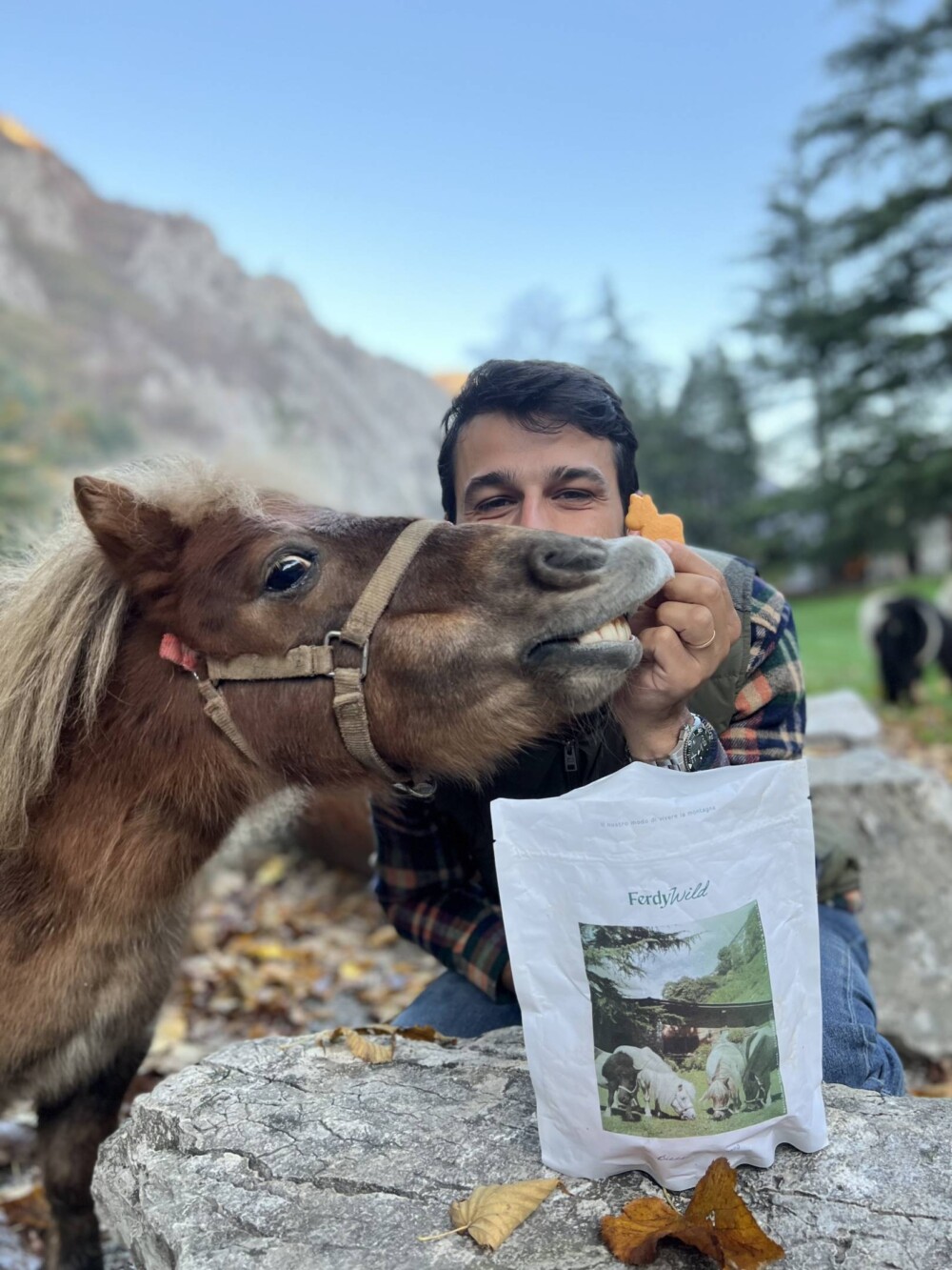 FERDY - Biscotti della Pony Ganggg - immagine 2