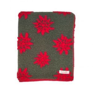 BIELLA FABRICS - PLAID LANA COTTA PINI