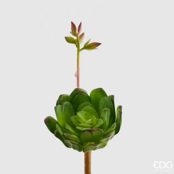 EDG - PIANTA ARTIFICIALE AEONIUM CHIC