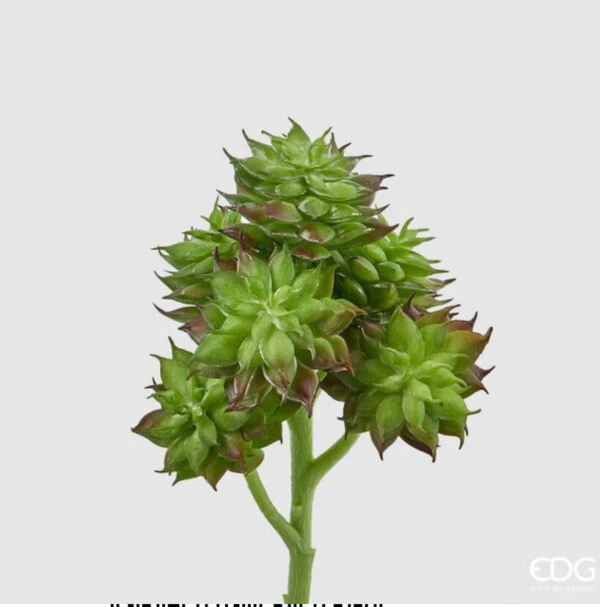 EDG - RAMO SEMPERVIVUM EDEN H20 CM (2 Colori)