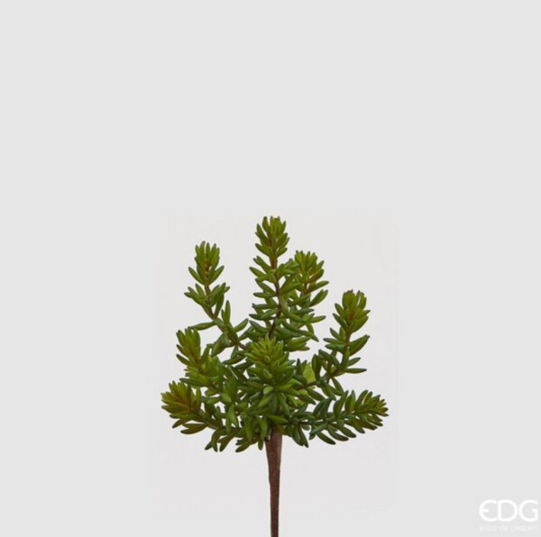 EDG - CESPUGLIO ARTIFICIALE SUCCULENT WEST H20 CM