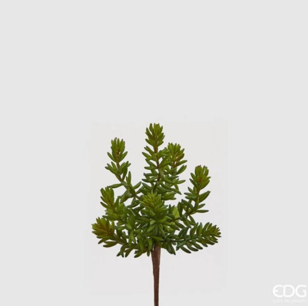 EDG - CESPUGLIO ARTIFICIALE SUCCULENT WEST H20 CM