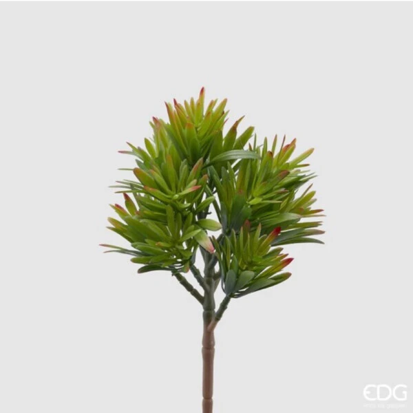 EDG - CESPIGLO ARTIFICIALE CRASSULA BELL H26 CM