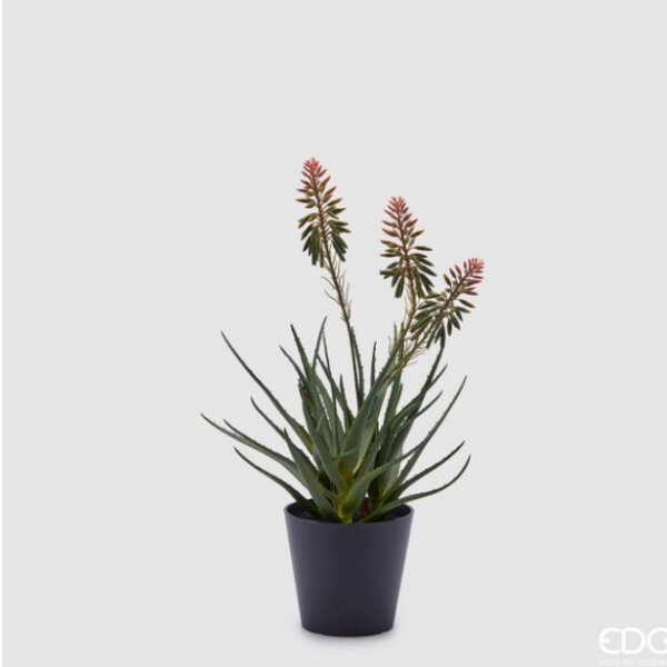 EDG - PIANTA DI ALOE ARTIFICIALE CON FIORI H50