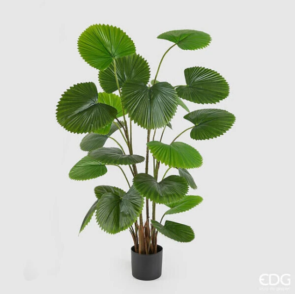 EDG - PALMA CAMERUS ARTIFICIALE C/VASO H150