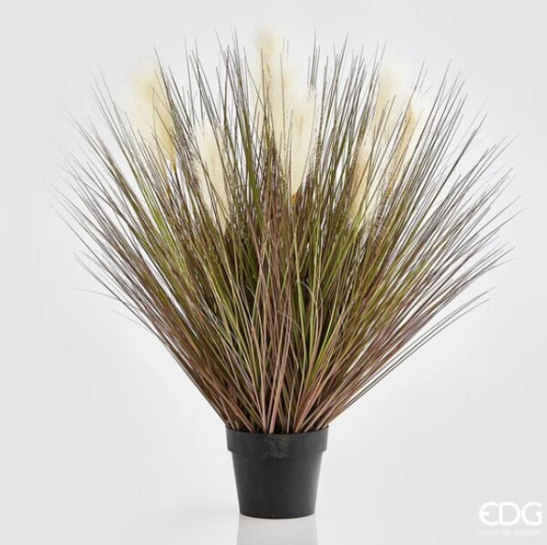 EDG - PIANTA ARTIFICIALE FESTUCA (2 Misure)