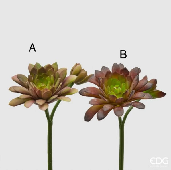EDG - AGAVE OLIS ARTIFICIALE H24 (2 Colori)