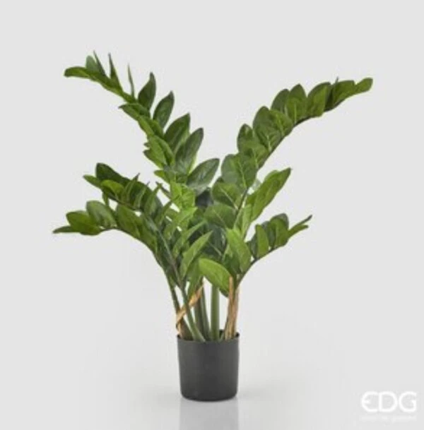 EDG - MAZZO ARTIFICIALE PISELLO ODOROSO FIORITO H 43