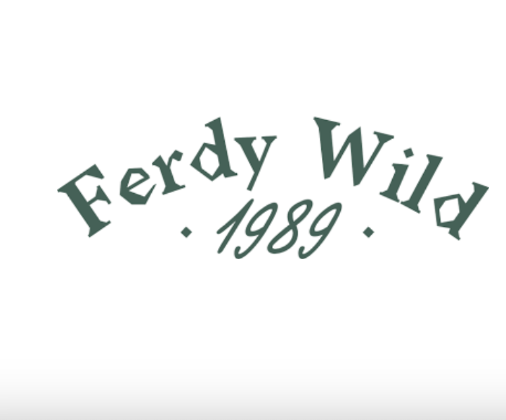 FERDY - Bevanda Fiori di Sambuco