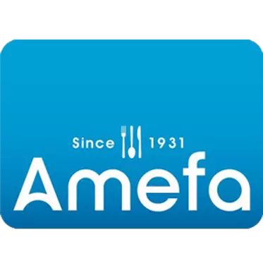 AMEFA - AMEFA AUSTIN VINTAGE SET 24pz - ANTICO