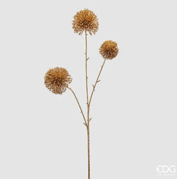 EDG - ALLIUM RAMO