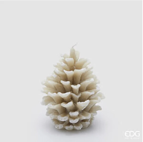 EDG - CANDELA PIGNA