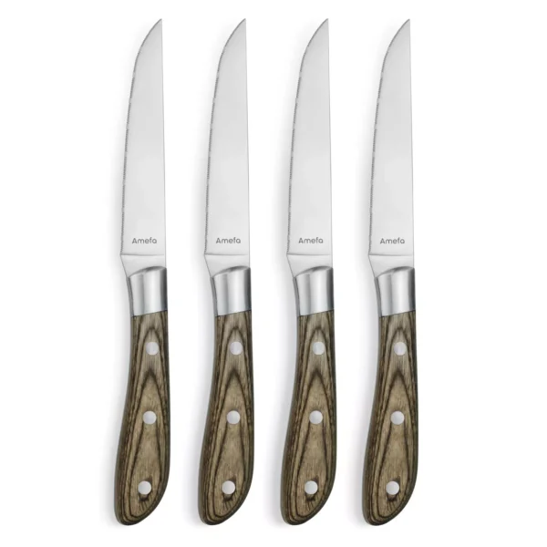 AMEFA - SET 4pz COLTELLO BISTECCA MANICO IN LEGNO (2 Colori)