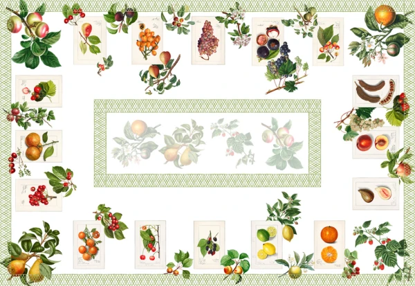 THE NAPKING - Tovaglia Summerfruit in lino
