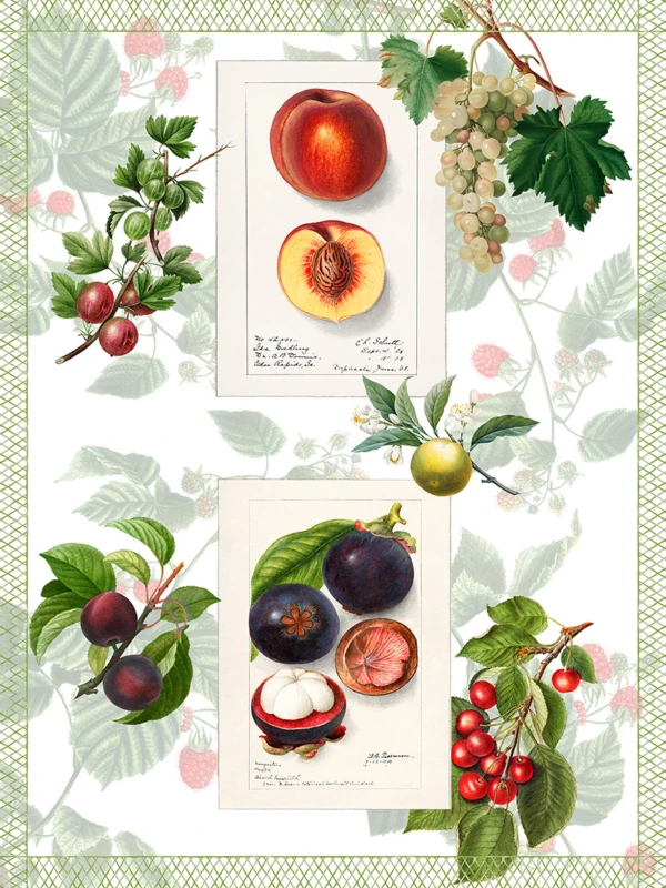 THE NAPKING - Tovaglia Summerfruit in lino