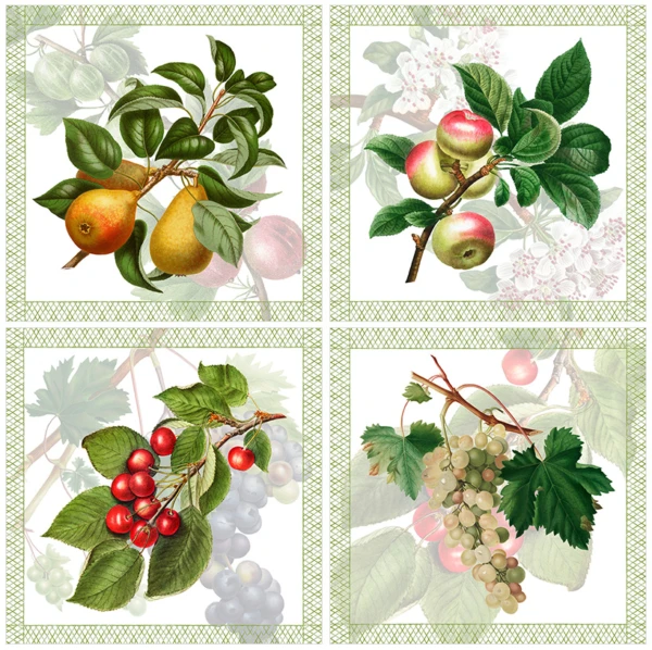 THE NAPKING - Tovaglia Summerfruit in lino