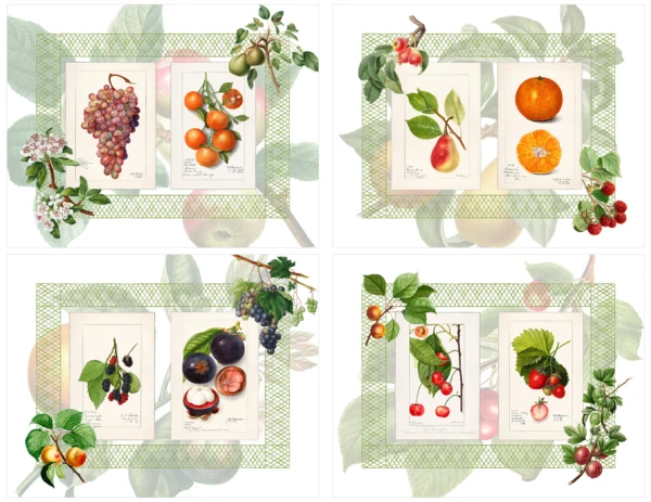 THE NAPKING - Tovaglia Summerfruit in lino