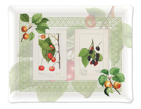 THE NAPKING - Tovaglia Summerfruit in lino