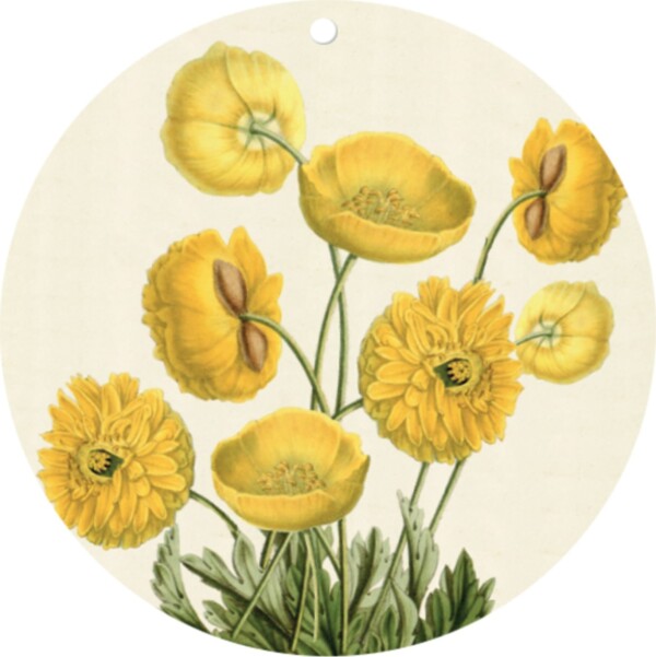 STILE STORE - SET 4 SOTTOBICCHIERI CERAMICA (2 Modelli)